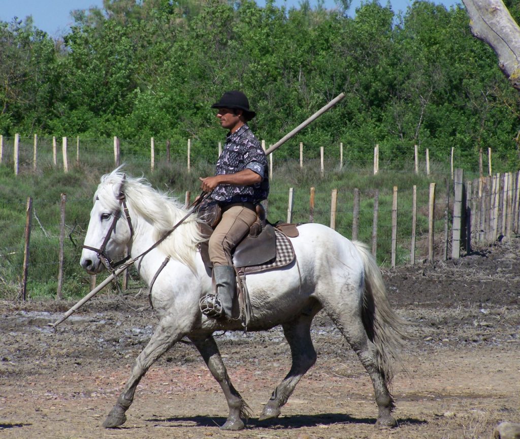 Gardien of France